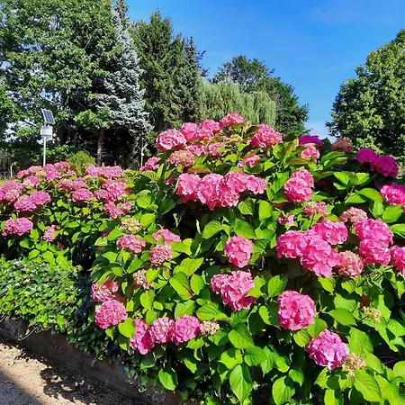 Apartamento Kirschenknupp