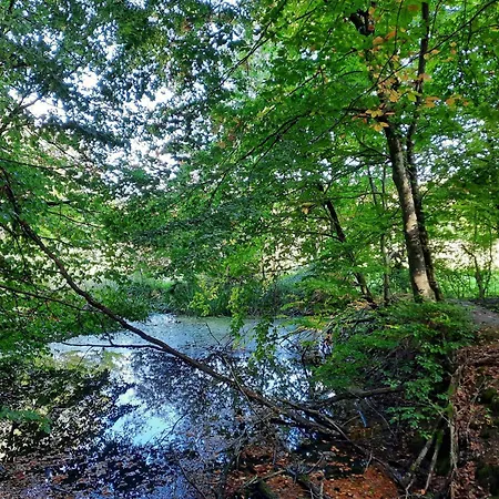 Appartement Kirschenknupp Hellendorf
