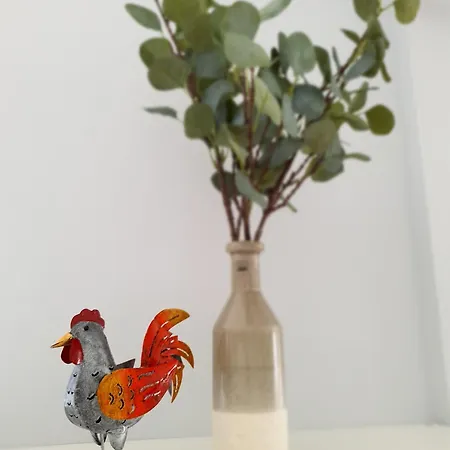 Kirschenknupp Appartement Hellendorf