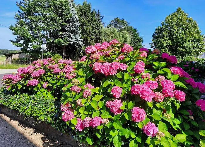 Apartamento Kirschenknupp