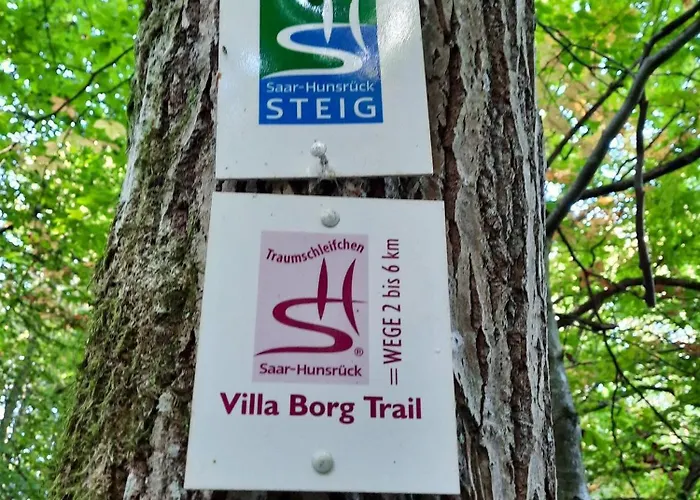 Kirschenknupp * Hellendorf